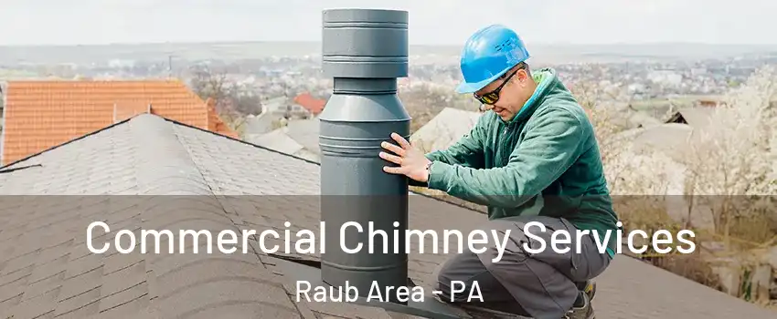 Commercial Chimney Services Raub Area - PA