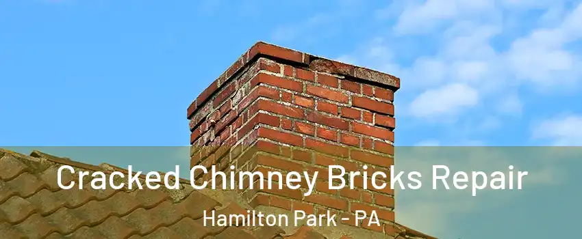 Cracked Chimney Bricks Repair Hamilton Park - PA