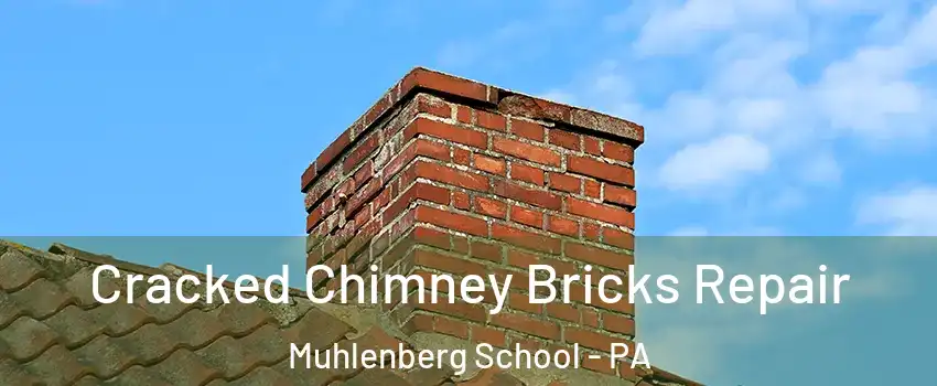 Cracked Chimney Bricks Repair Muhlenberg School - PA