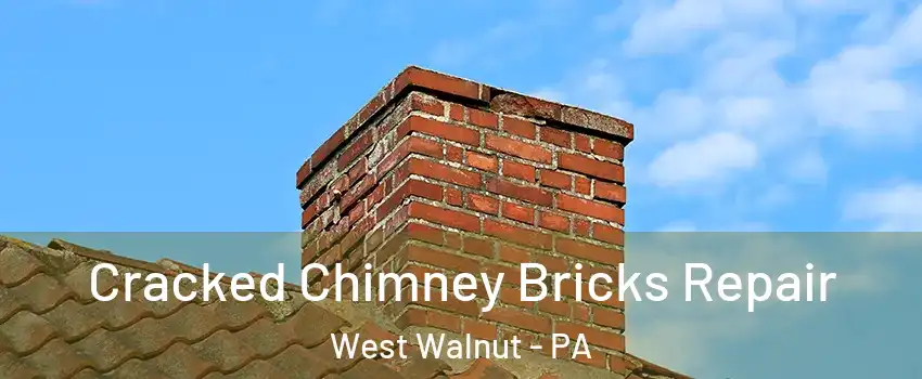 Cracked Chimney Bricks Repair West Walnut - PA