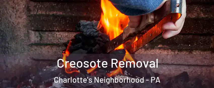 Creosote Removal Charlotte's Neighborhood - PA