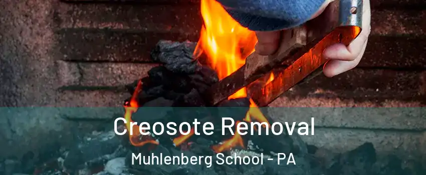 Creosote Removal Muhlenberg School - PA