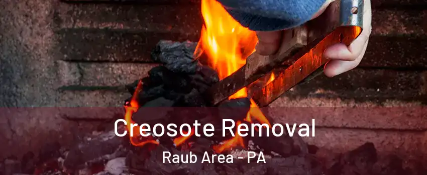 Creosote Removal Raub Area - PA