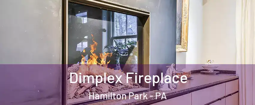 Dimplex Fireplace Hamilton Park - PA