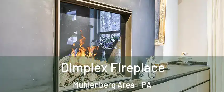 Dimplex Fireplace Muhlenberg Area - PA