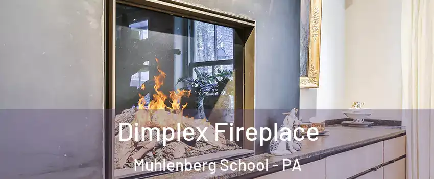 Dimplex Fireplace Muhlenberg School - PA