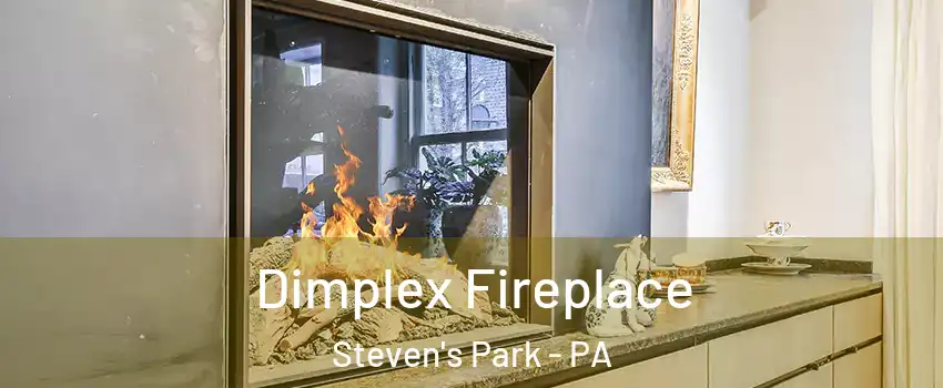 Dimplex Fireplace Steven's Park - PA