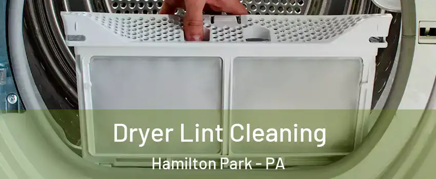 Dryer Lint Cleaning Hamilton Park - PA