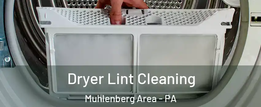 Dryer Lint Cleaning Muhlenberg Area - PA