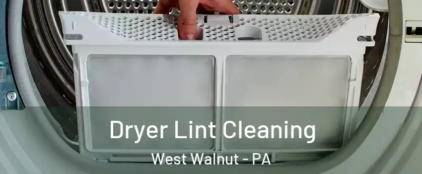 Dryer Lint Cleaning West Walnut - PA