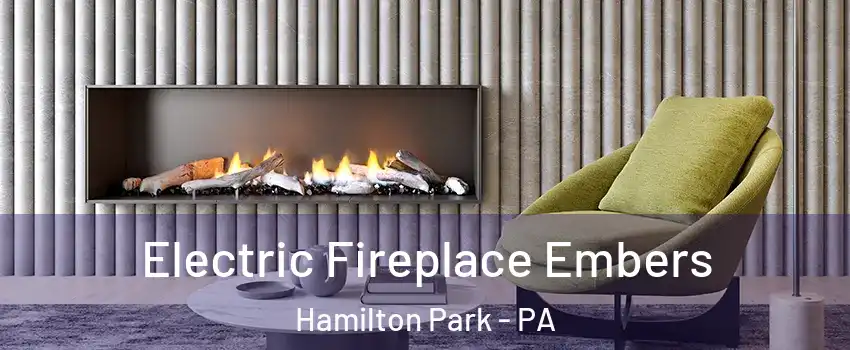 Electric Fireplace Embers Hamilton Park - PA