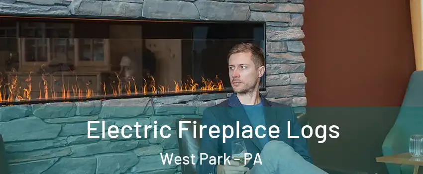 Electric Fireplace Logs West Park - PA