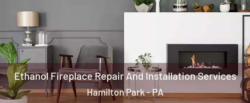 Ethanol Fireplace Repair And Installation Services Hamilton Park - PA