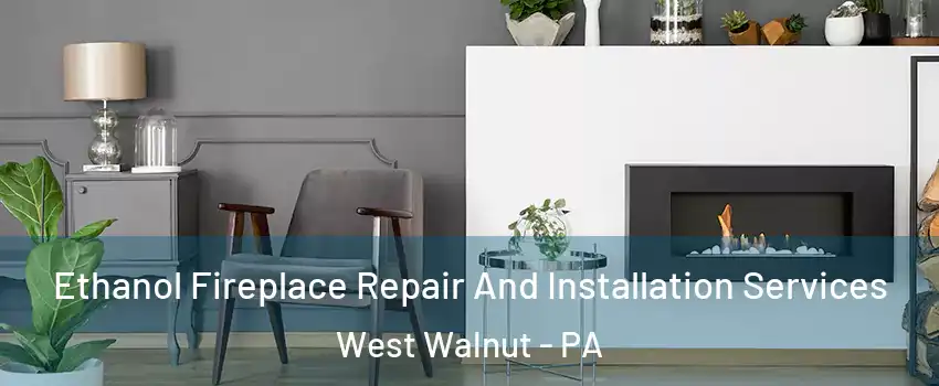 Ethanol Fireplace Repair And Installation Services West Walnut - PA