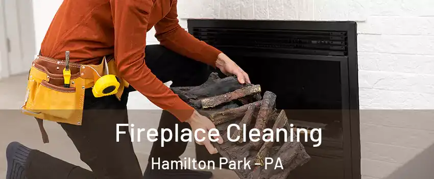 Fireplace Cleaning Hamilton Park - PA