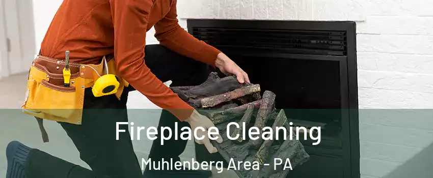 Fireplace Cleaning Muhlenberg Area - PA