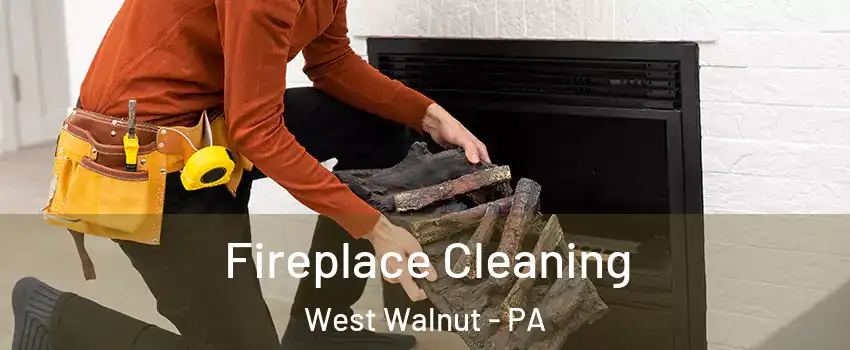 Fireplace Cleaning West Walnut - PA