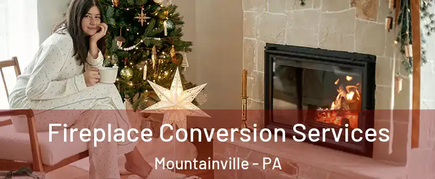 Fireplace Conversion Services Mountainville - PA