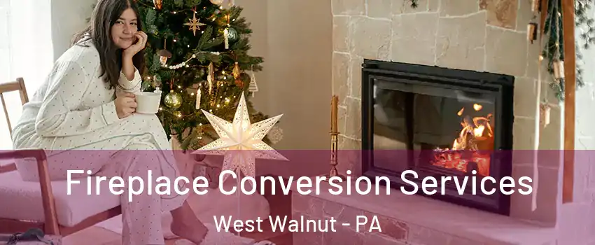 Fireplace Conversion Services West Walnut - PA