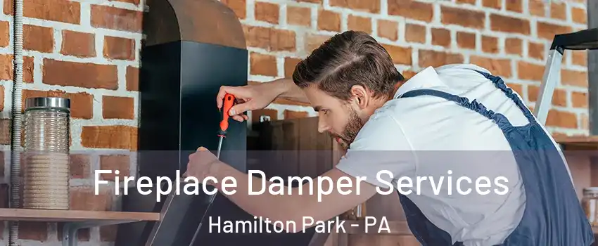 Fireplace Damper Services Hamilton Park - PA