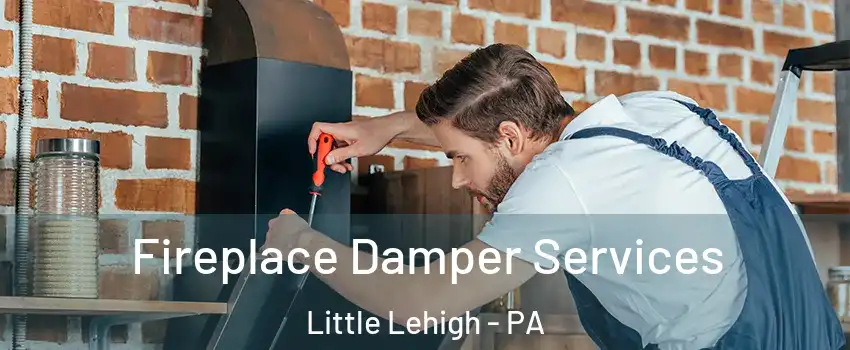 Fireplace Damper Services Little Lehigh - PA