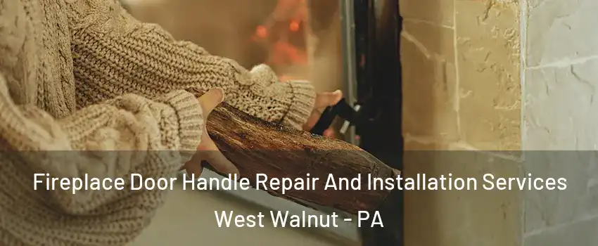 Fireplace Door Handle Repair And Installation Services West Walnut - PA