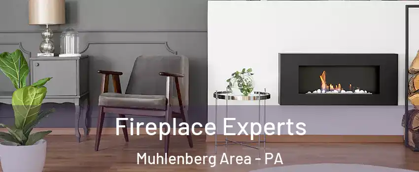 Fireplace Experts Muhlenberg Area - PA