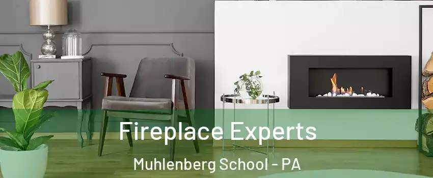 Fireplace Experts Muhlenberg School - PA