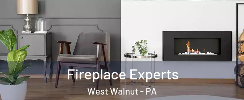 Fireplace Experts West Walnut - PA