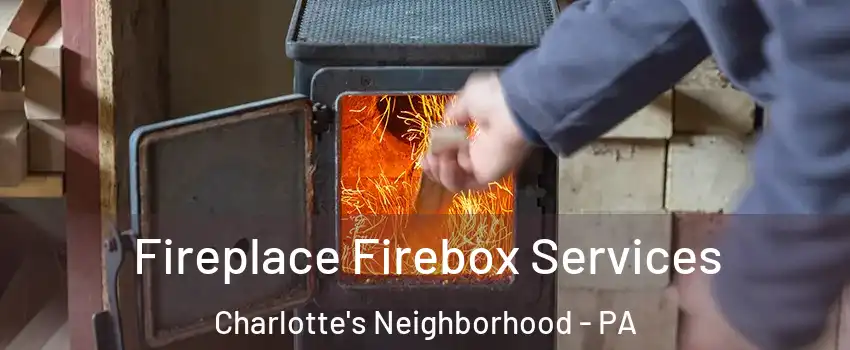 Fireplace Firebox Services Charlotte's Neighborhood - PA