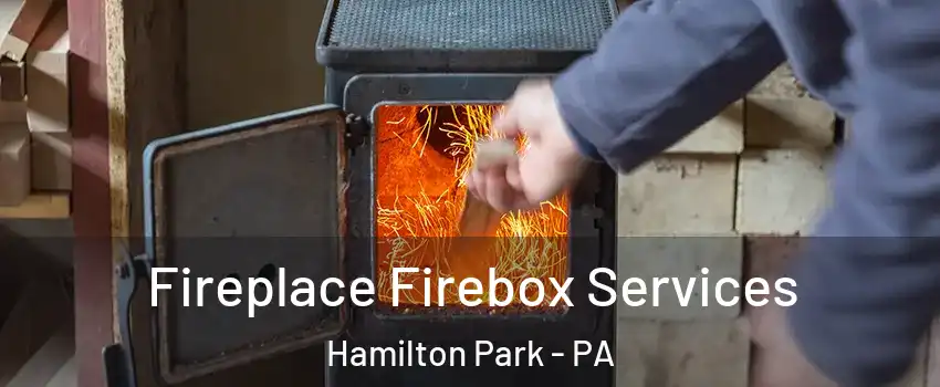 Fireplace Firebox Services Hamilton Park - PA