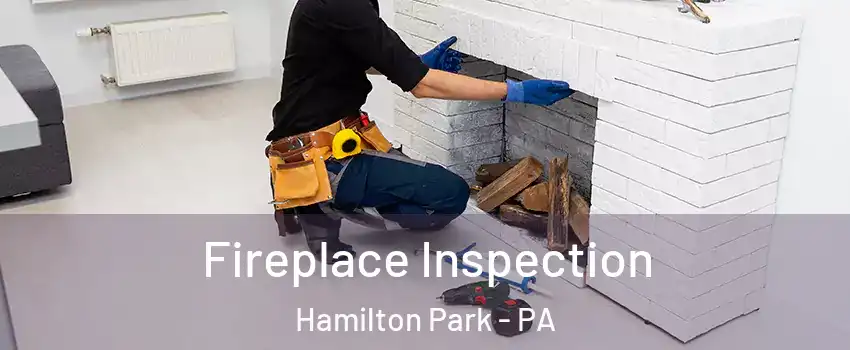 Fireplace Inspection Hamilton Park - PA