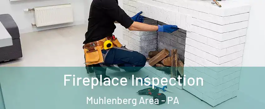 Fireplace Inspection Muhlenberg Area - PA