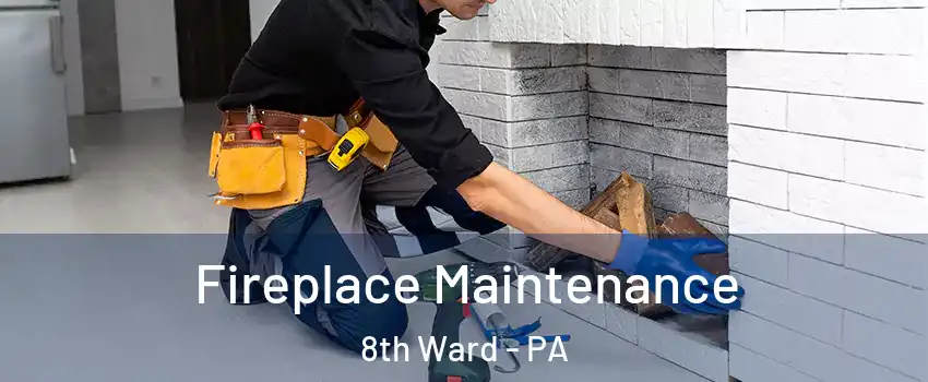 Fireplace Maintenance 8th Ward - PA