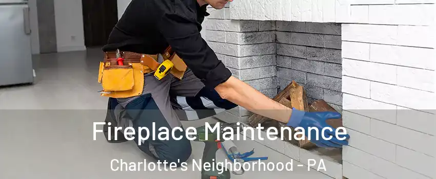 Fireplace Maintenance Charlotte's Neighborhood - PA