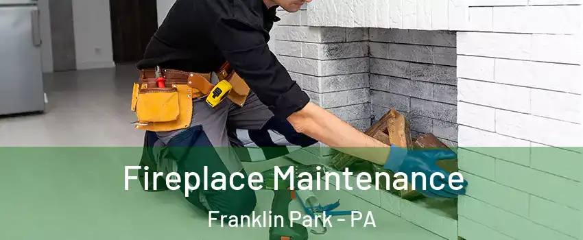 Fireplace Maintenance Franklin Park - PA