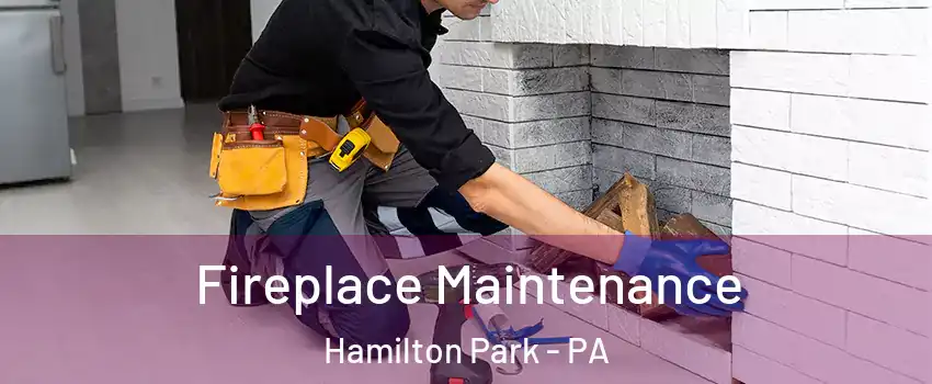 Fireplace Maintenance Hamilton Park - PA