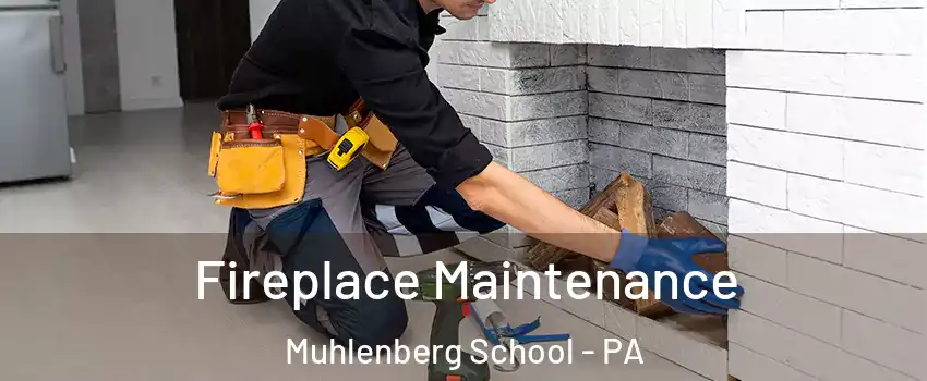 Fireplace Maintenance Muhlenberg School - PA