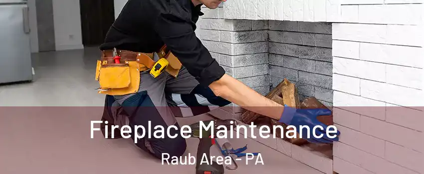 Fireplace Maintenance Raub Area - PA