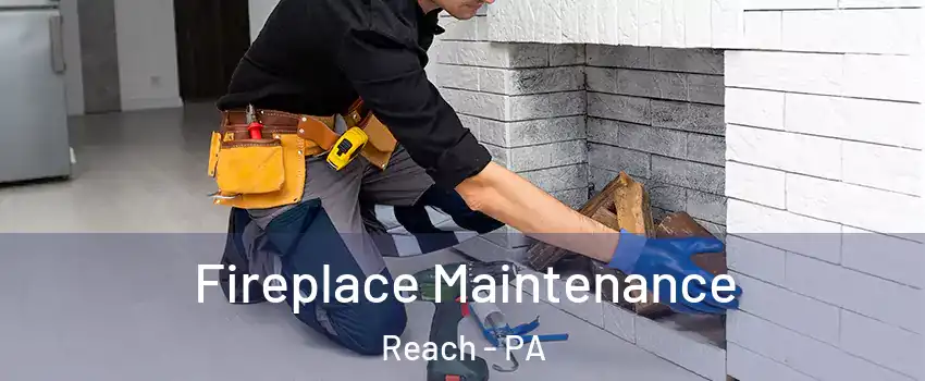 Fireplace Maintenance Reach - PA