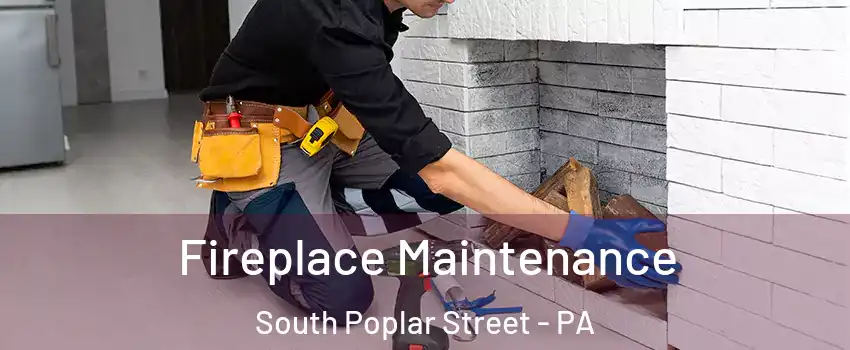 Fireplace Maintenance South Poplar Street - PA