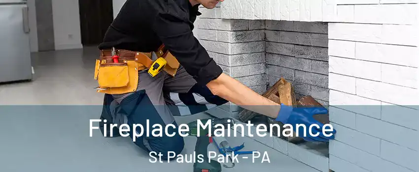 Fireplace Maintenance St Pauls Park - PA