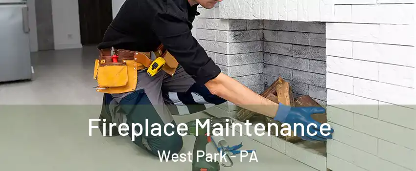 Fireplace Maintenance West Park - PA