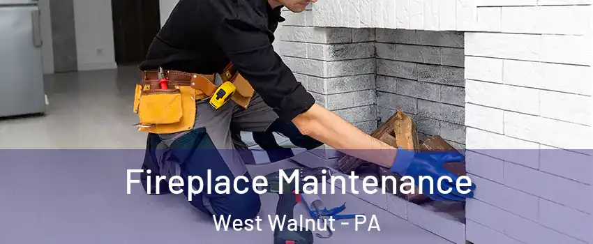 Fireplace Maintenance West Walnut - PA