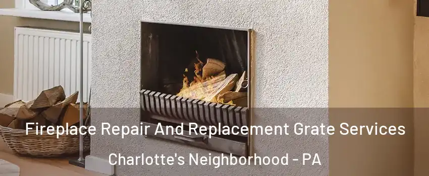 Fireplace Repair And Replacement Grate Services Charlotte's Neighborhood - PA