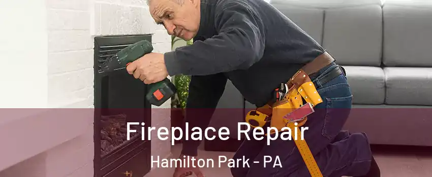 Fireplace Repair Hamilton Park - PA