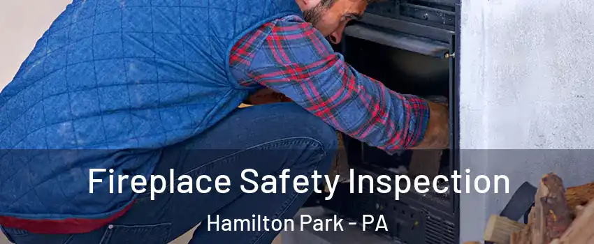 Fireplace Safety Inspection Hamilton Park - PA