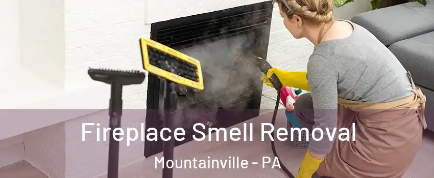 Fireplace Smell Removal Mountainville - PA