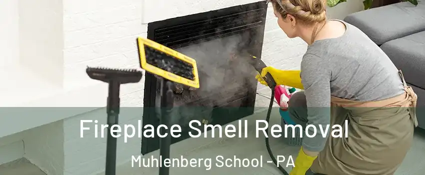 Fireplace Smell Removal Muhlenberg School - PA