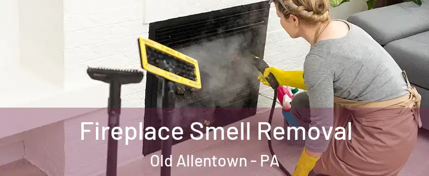 Fireplace Smell Removal Old Allentown - PA